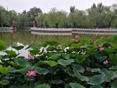 -丰台花园