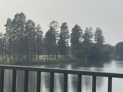 -东钱湖旅游度假区