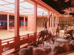 -蓝鲸湾汤泉(包河店)