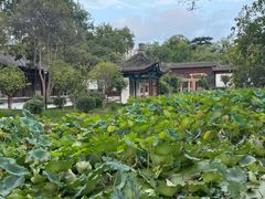 -莲湖公园