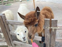 -珠海海泉湾神秘岛亲子乐园