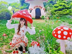 -上海鲜花港