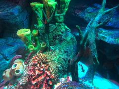 -沈阳海洋探索中心