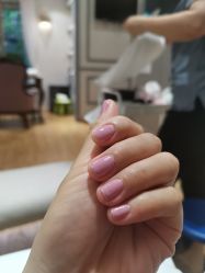 -BELLAREAL新美社