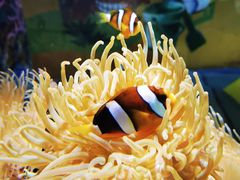 -太平洋海底世界