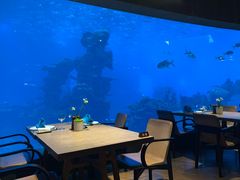 -海棠湾洲际-涛·海底餐厅·美人鱼·自助餐·海底隧道