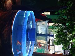 -佬麻雀·剁椒鱼头(京基KK One店)