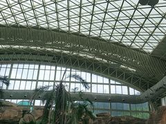 -杭州开元森泊度假乐园