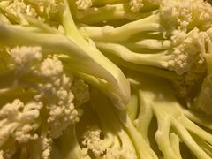 -嘟享吃重庆鸡公煲(五一店)