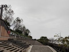 -上海滨江森林公园