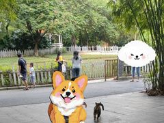 -晓港公园