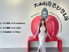 -辰熙ACX星海艺术中心