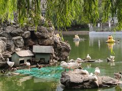 -团结湖公园