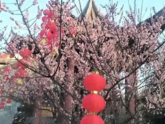 -里运河文化长廊-御码头