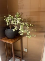 -奥本瑜伽·普拉提