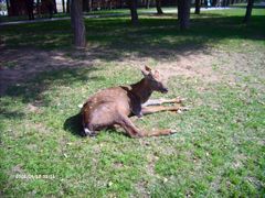 赛汗塔拉生态园&nbsp;(13)-赛汗塔拉风情园
