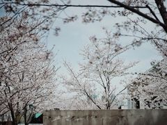 -龙美术馆西岸馆-停车场