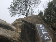 -南山植物园