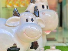 马苏里拉芝士酸奶-白色日记·手作酸奶(麦凯乐店)