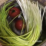 🥢营养美味简单易学的蒜苗炒蛋安利给你们[爱心]