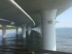 -演武大桥观景平台