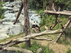 -宁波野生动物园