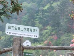 -木兰云雾山