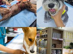 -美联众合动物医院·24h转诊中心