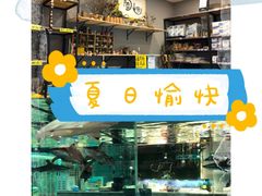 -趣陶陶艺手工坊(新世界百货重庆店)