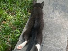 -清心素食自助餐厅(夫子庙店)