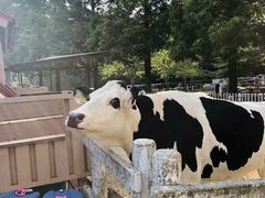 -神户市立六甲山牧场