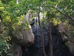 -天目湖山水园