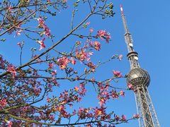 -文华公园(禅城区)