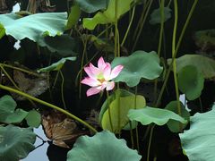 -杭州西湖风景名胜区北街寻梦停车场