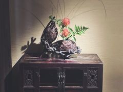-觀芷隐轩