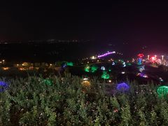 -密云玫瑰情园