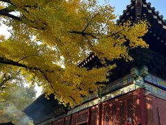 -红螺寺
