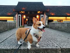 -鲁镇