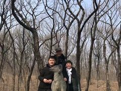 -皇藏峪国家森林公园