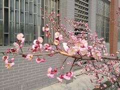 -河南财经政法大学(郑东校区)