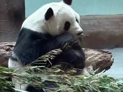 -青藏高原野生动物园