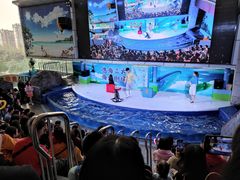 -成都浩海立方海洋公园