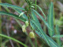 -天芳悦潭度假村温泉