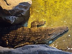 -泉城欧乐堡海洋极地世界