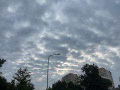 -北京稻香村(前门大街旗舰店)