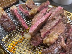 -杨小佳·齐齐哈尔烤肉·烤串(广州店)
