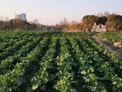 -尚贤河湿地
