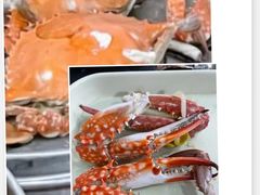 -九层海鲜塔(市南店)