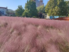 -BHG生活超市(安贞店)