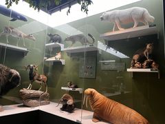 -国家自然博物馆